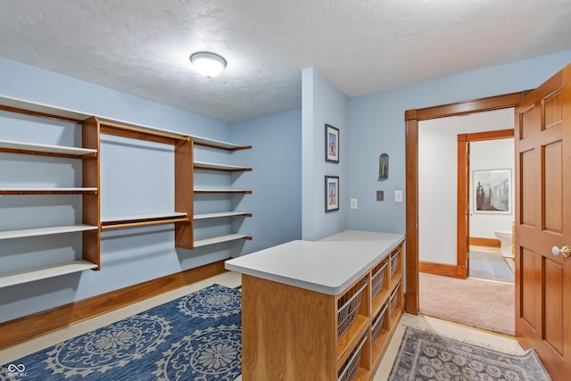 spacious closet with light carpet