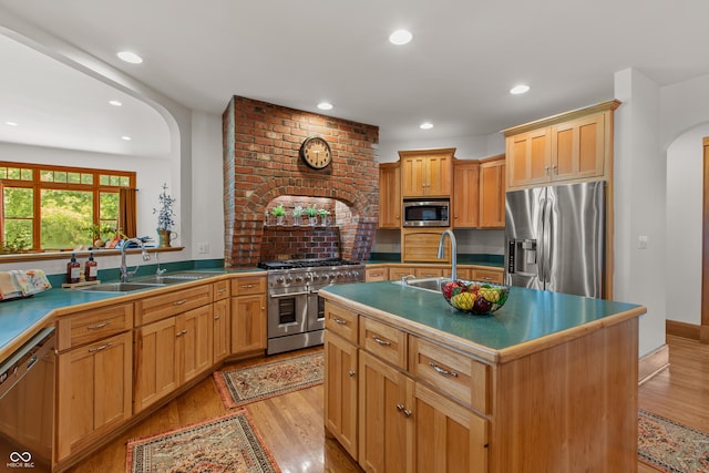 kitchen featuring sink, light wood-type flooring, stainless steel appliances, and a kitchen island with sink