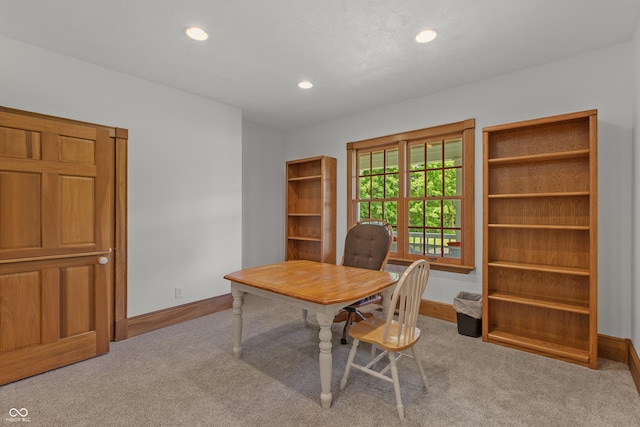 office featuring light carpet