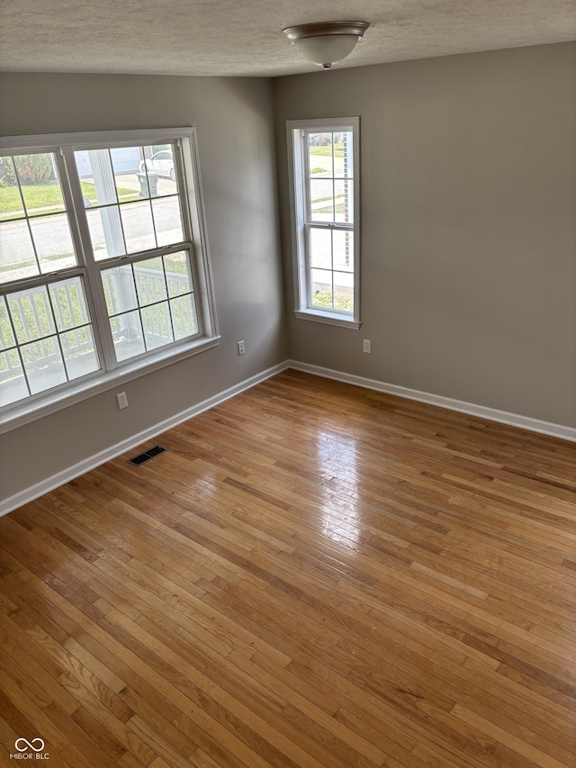 empty room with light hardwood / wood-style floors, a textured ceiling, and a wealth of natural light