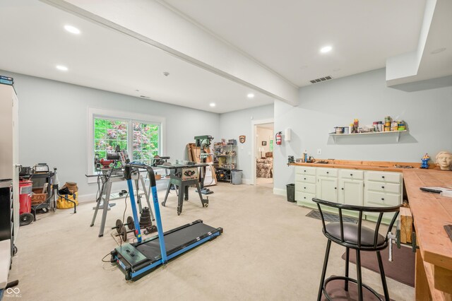 exercise area featuring light carpet