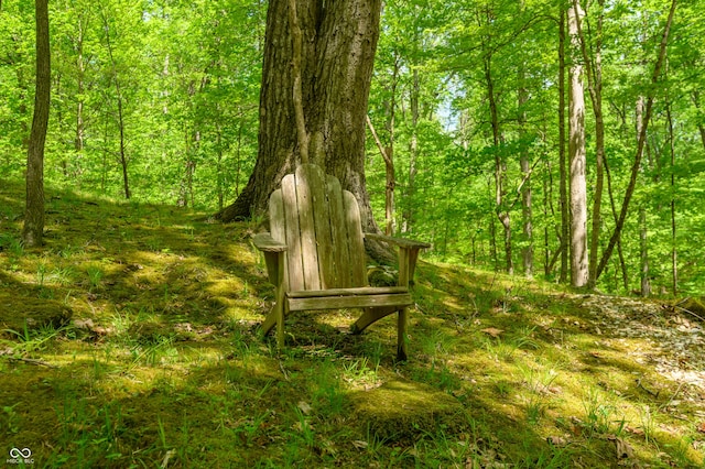 view of home's community with a forest view