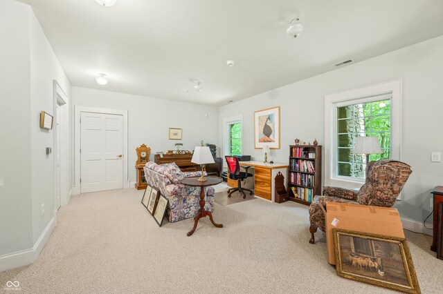 view of carpeted living room