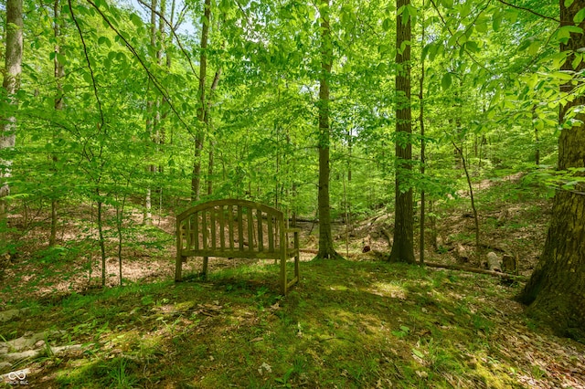 view of landscape featuring a wooded view