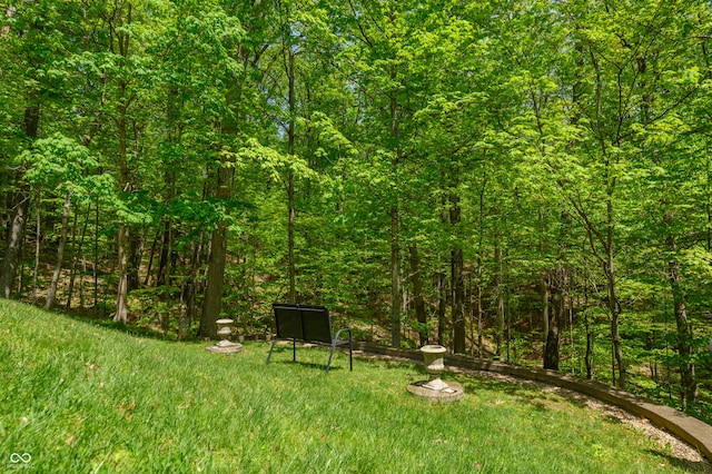 view of yard featuring a wooded view