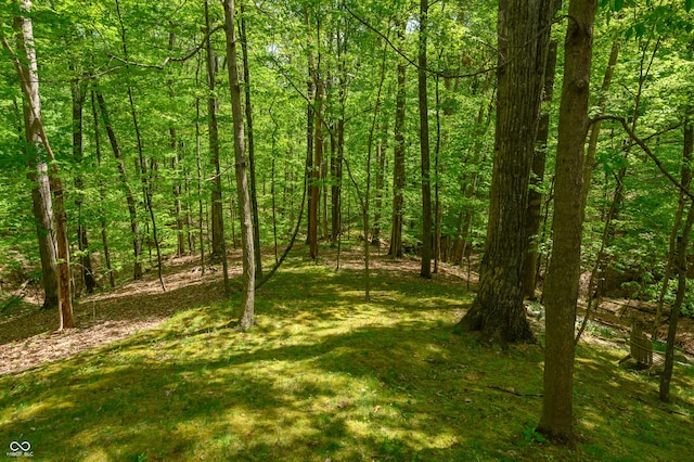 view of yard featuring a view of trees