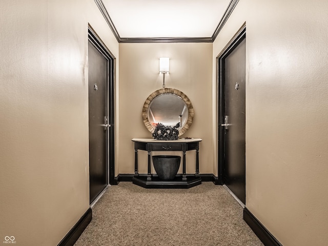 hallway with ornamental molding and carpet