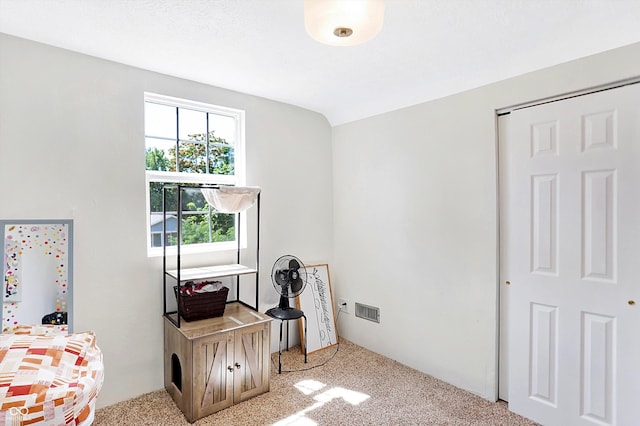 bedroom featuring lofted ceiling