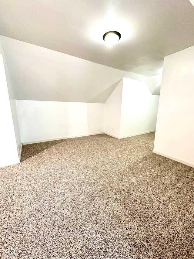 bonus room featuring carpet flooring