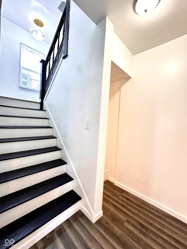 stairway with dark hardwood / wood-style flooring