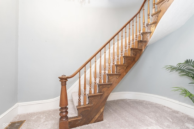 stairway featuring carpet floors