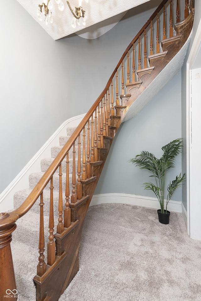 stairway featuring carpet flooring