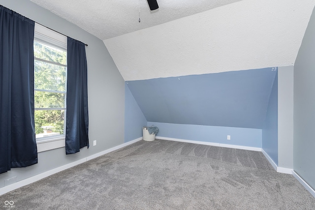 additional living space featuring ceiling fan, carpet floors, vaulted ceiling, and a textured ceiling