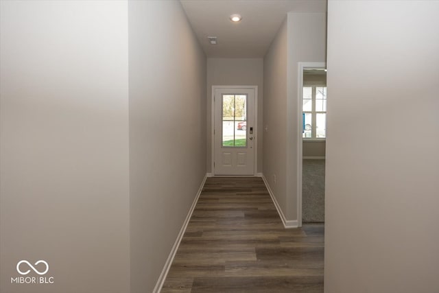 doorway to outside featuring dark hardwood / wood-style floors