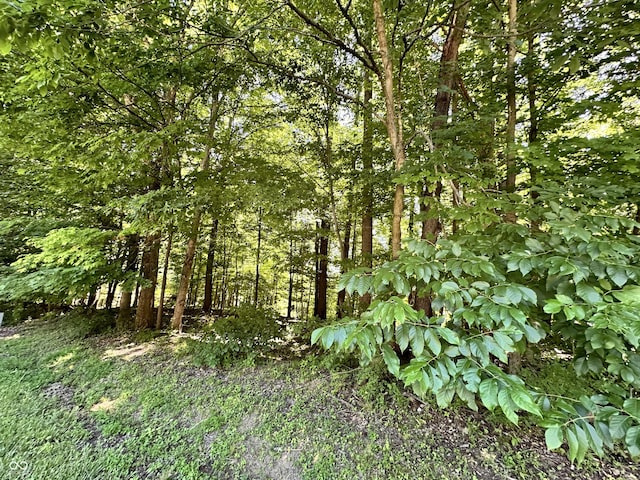 2925 Fox Ct E, Martinsville, IN 46151 - photo 23