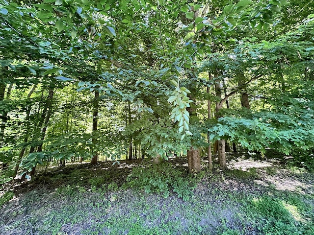 2925 Fox Ct E, Martinsville, IN 46151 - photo 19