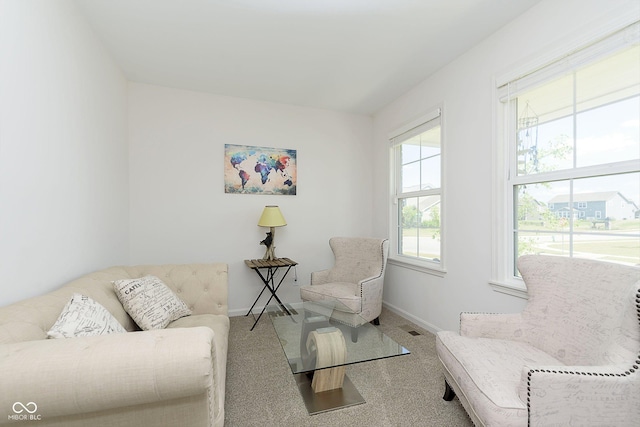 living area with carpet floors