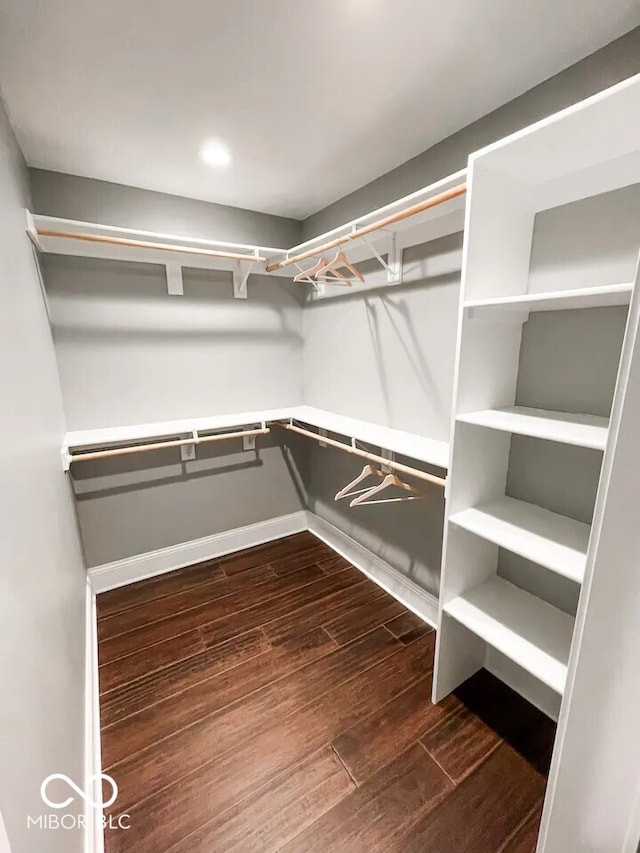 spacious closet featuring dark wood-type flooring