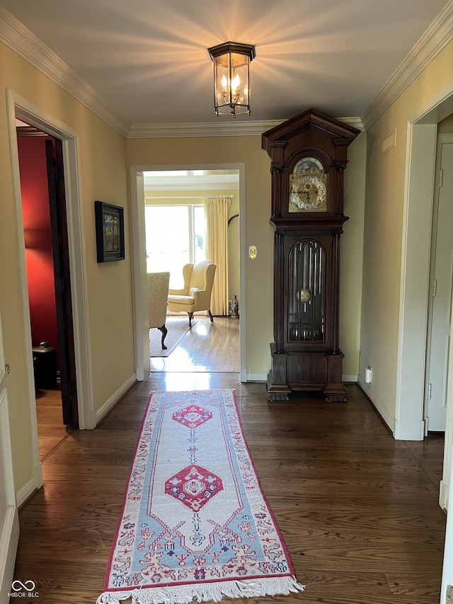 interior space featuring dark hardwood / wood-style flooring, ornamental molding, and an inviting chandelier