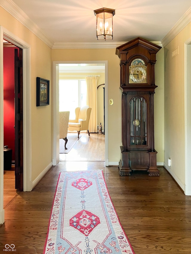 hall featuring crown molding, dark hardwood / wood-style floors, and an inviting chandelier