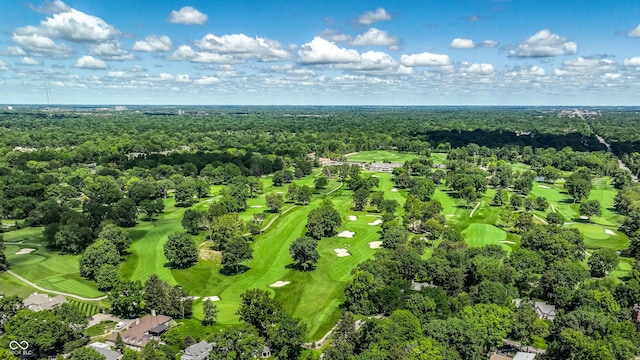 bird's eye view