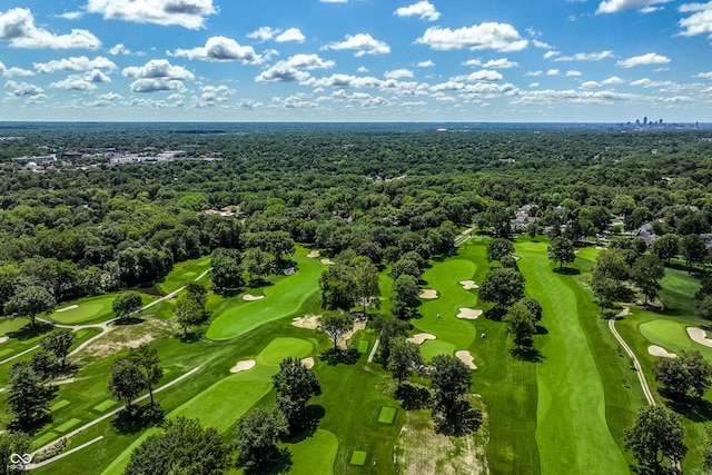 drone / aerial view