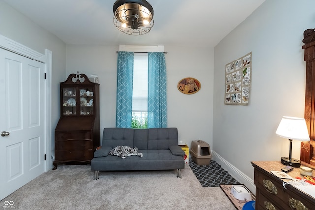 sitting room with carpet