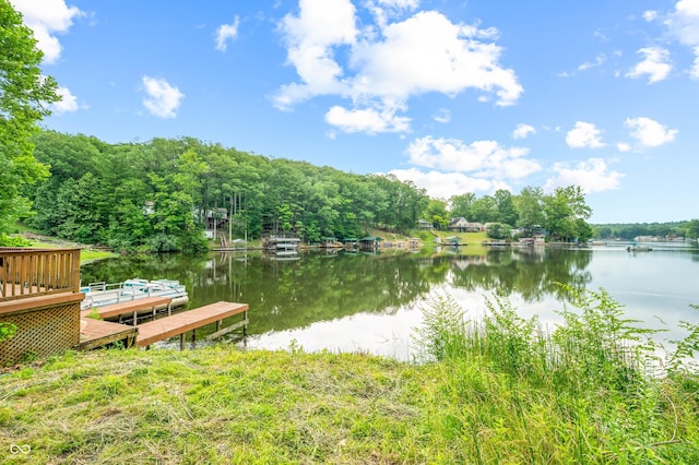 view of dock featuring a water view