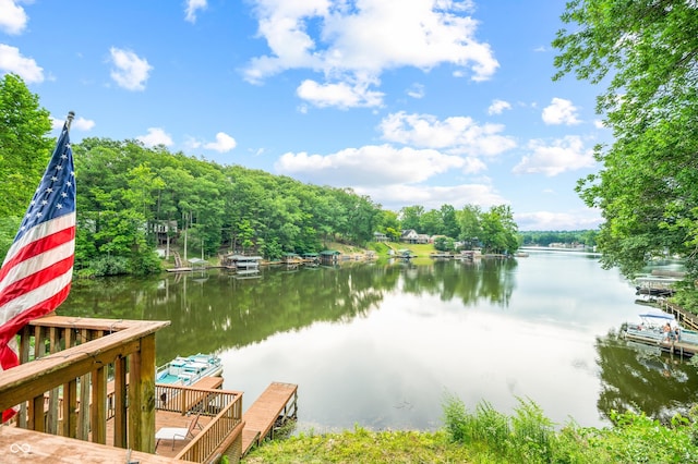 dock area featuring a water view