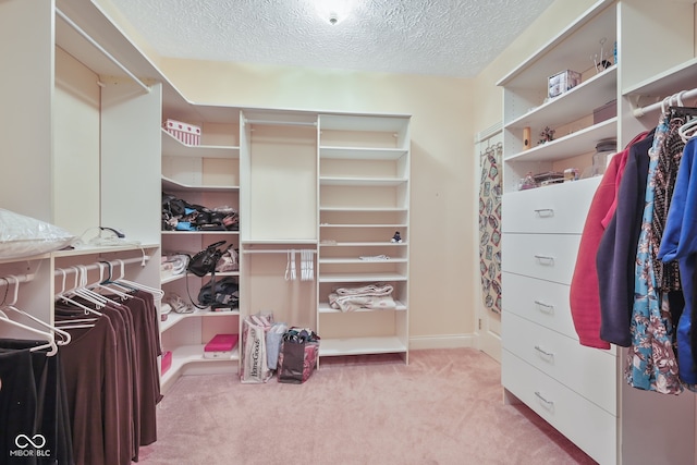 spacious closet with light colored carpet