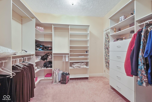 8292 S State Road 39th Rd S, Clayton, IN 46118 - spacious closet featuring carpet