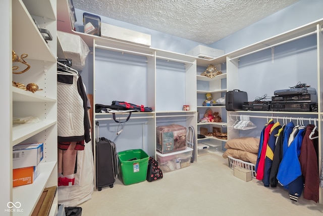 spacious closet with carpet