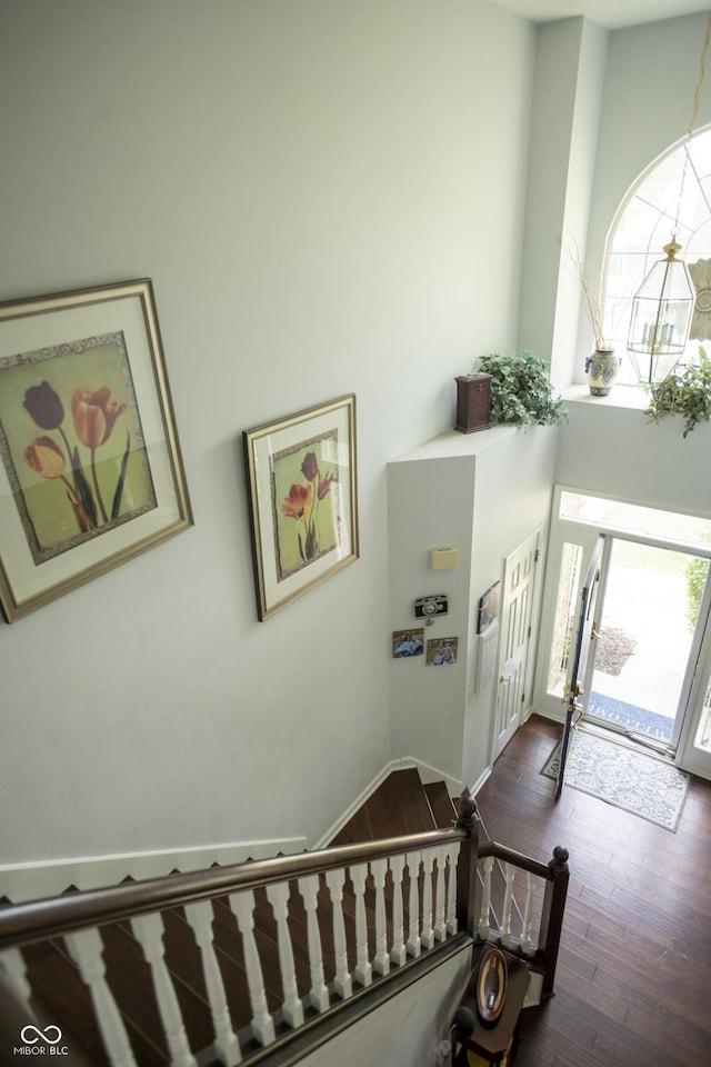 foyer featuring a high ceiling and dark hardwood / wood-style floors