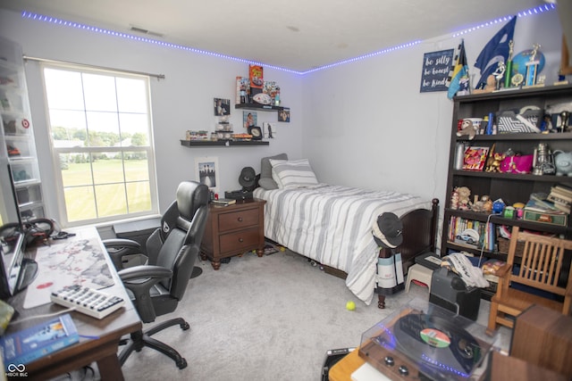 bedroom with carpet flooring