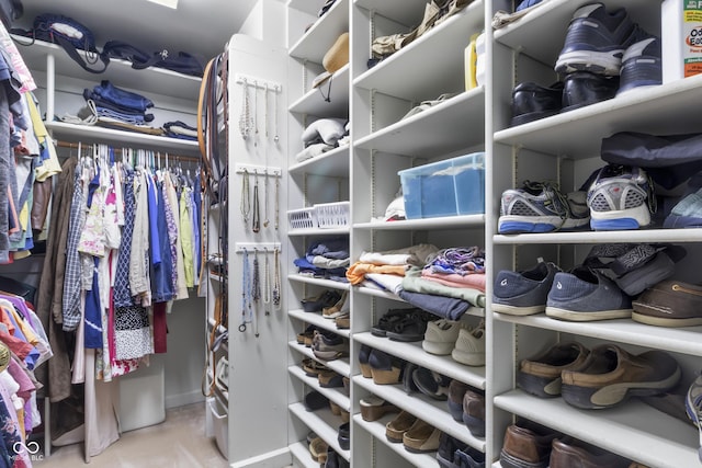 view of walk in closet