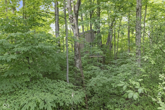 view of local wilderness