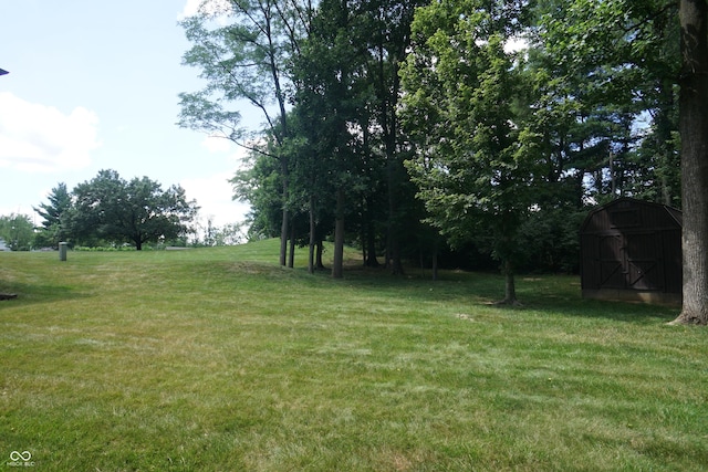 view of yard featuring a shed