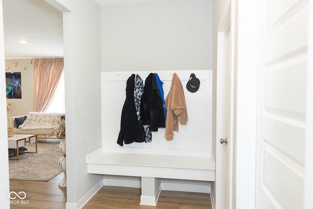 mudroom featuring hardwood / wood-style floors