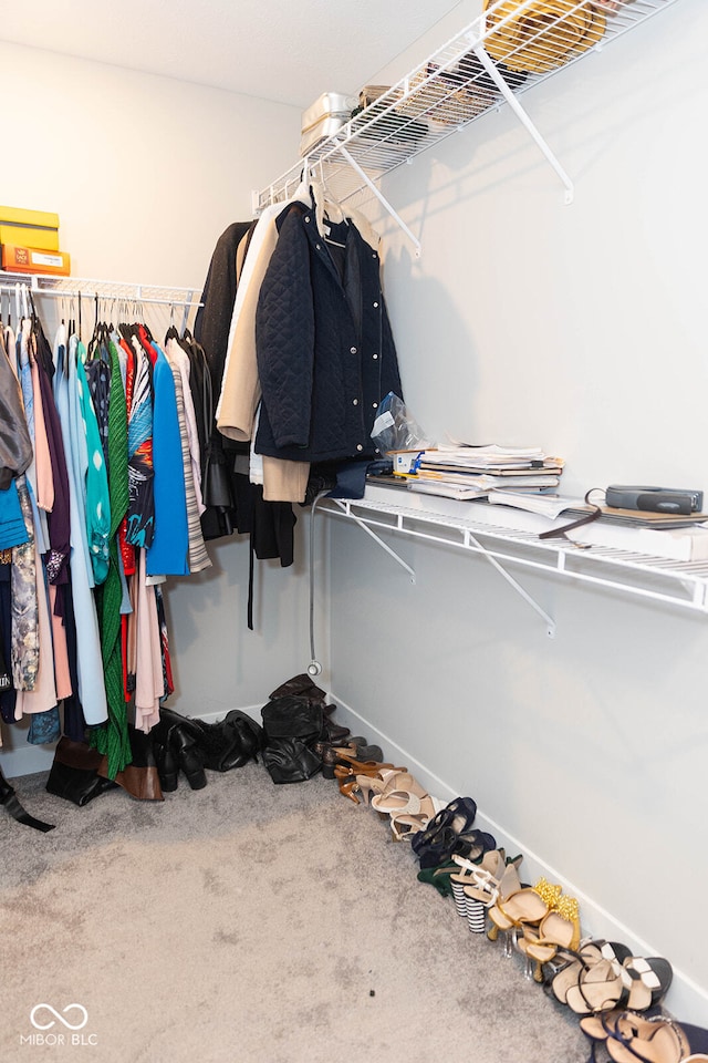 spacious closet featuring carpet flooring