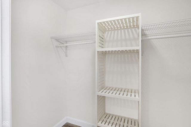 view of walk in closet