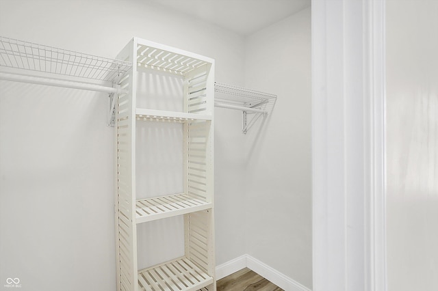 walk in closet with hardwood / wood-style flooring