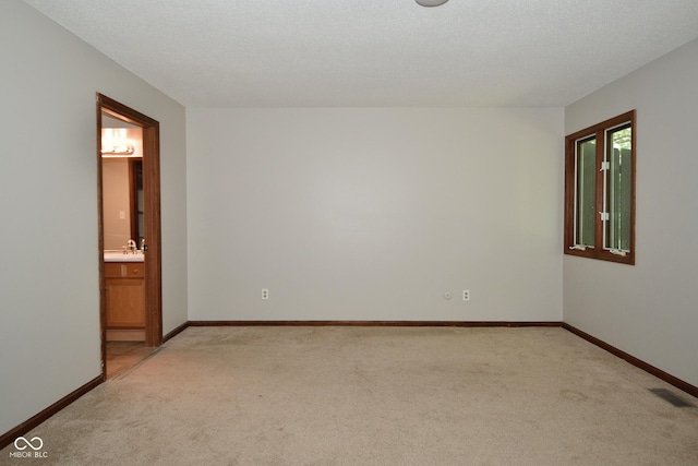 carpeted spare room with sink and a textured ceiling