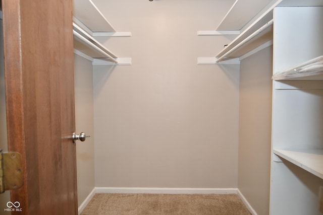 walk in closet featuring light colored carpet