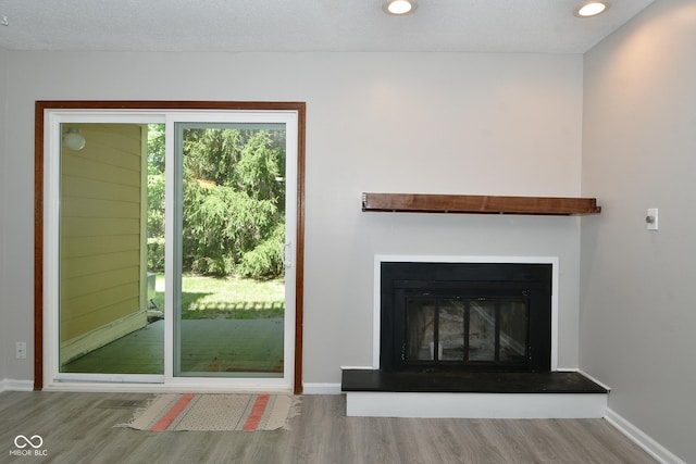 interior space featuring hardwood / wood-style flooring