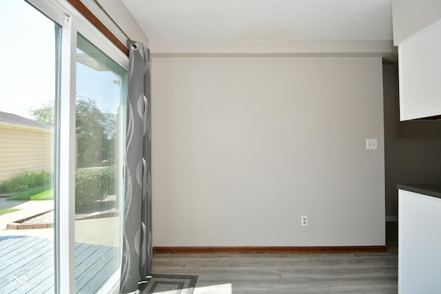 spare room with wood-type flooring