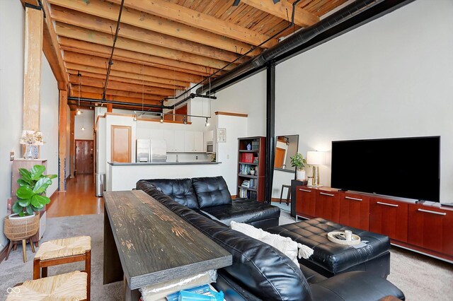 living room featuring light colored carpet