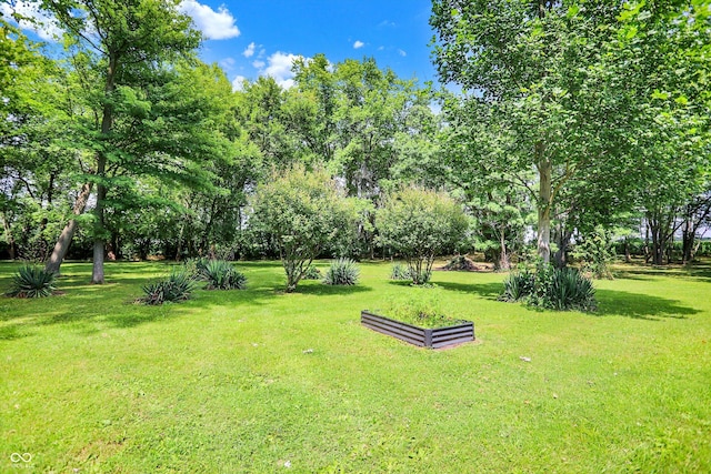 view of property's community featuring a yard