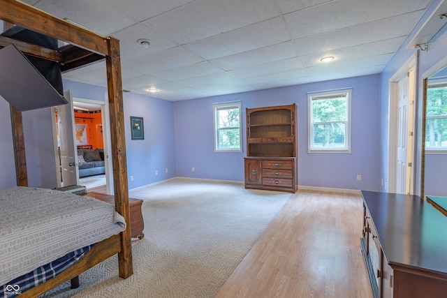 bedroom with multiple windows, a drop ceiling, and baseboards