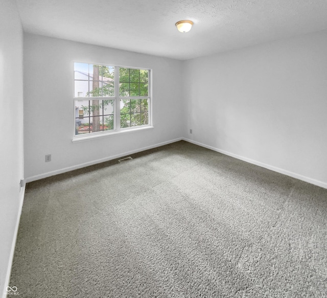 empty room featuring carpet floors and a textured ceiling