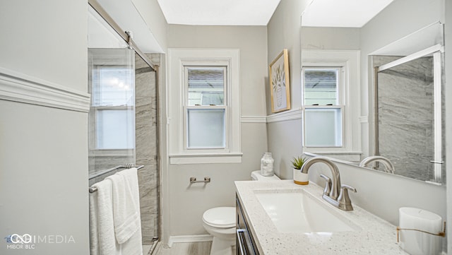 bathroom with vanity, toilet, and walk in shower